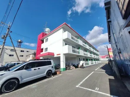 ステラマリス伸和の画像