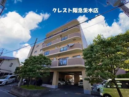 エクセルニシジマの画像