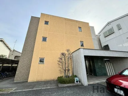 ジョイーレの画像