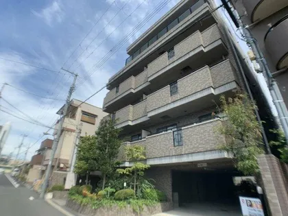 マーレルミノーソの画像