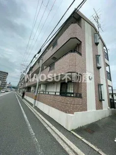 アデレード長田の画像