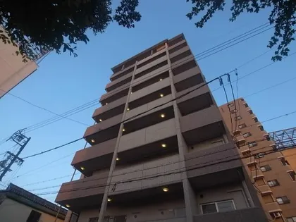 ファインコートの画像