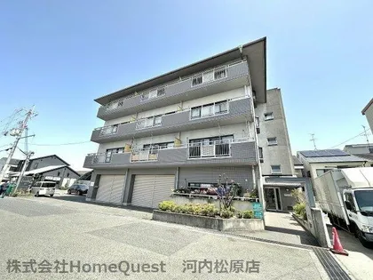 ヴァンベールの画像