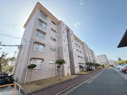 清和台住宅団地5号棟の画像