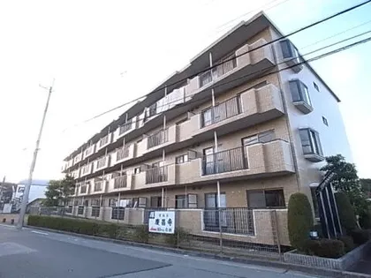 パストラルKIDAの画像