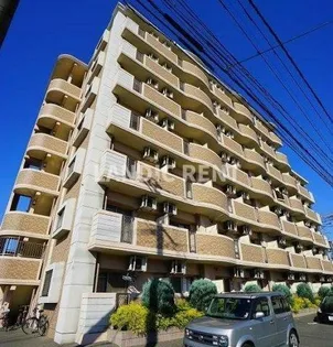 プラシード カーサの画像