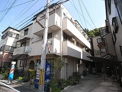 ビクトワールシェルの画像