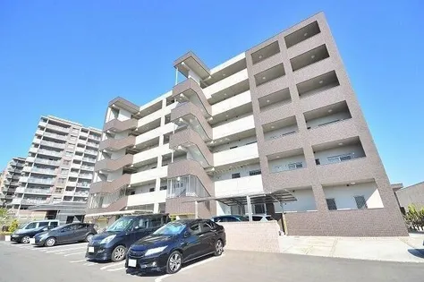 ルルス ドールの画像