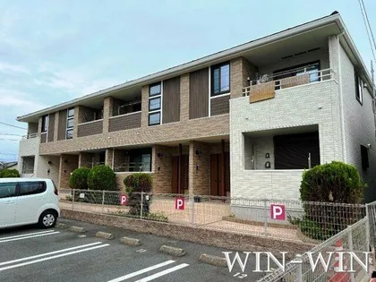 ベル グレイスの画像