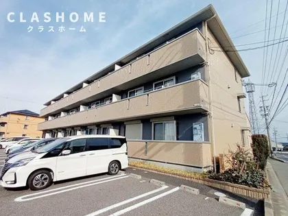 スタースレイプの画像