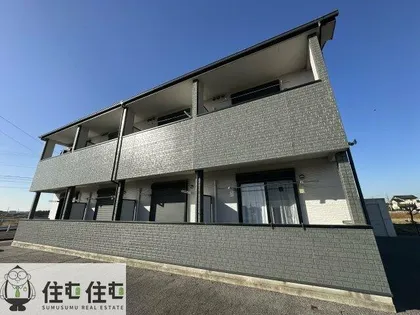 ラモンドットの画像