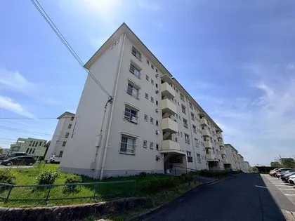 金剛第三住宅213棟の画像