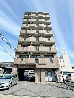 エクセル枇杷島の画像