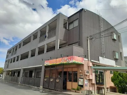 レーベンバンブー2の画像