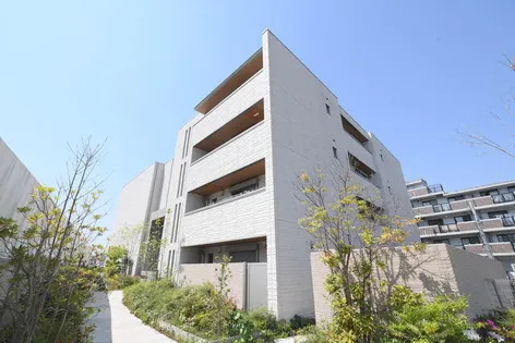 SHAMAISON FELICIAの画像