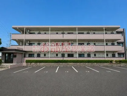 メゾンルミエールの画像