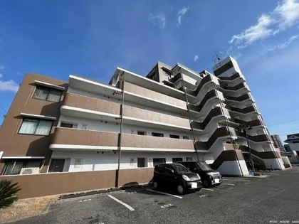 センチュリーコート緑の画像