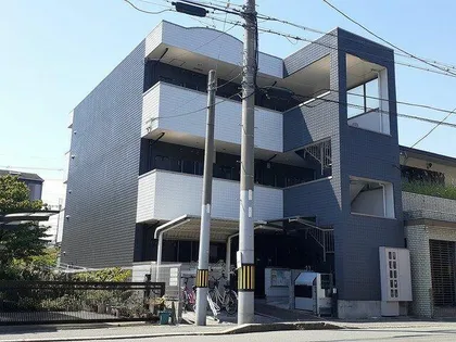 PRIMERO TAKANOの画像