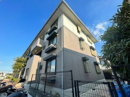 ハイカムール21の画像