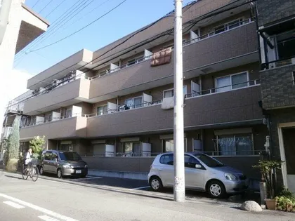 サン ブルームの画像