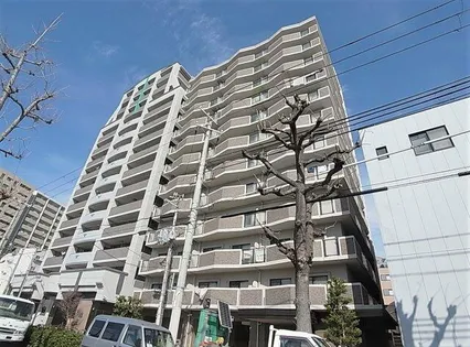 リメーン檜の画像