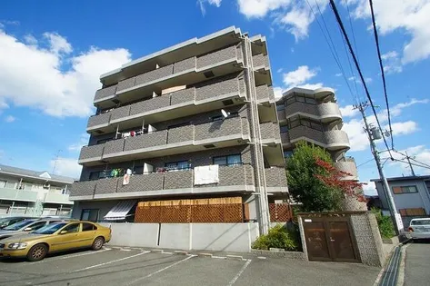 マーコートの画像