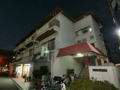 大一南野口マンションの画像