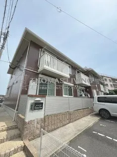 グレイス ピュアの画像