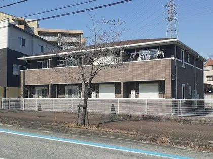 スターリーヒルズの画像