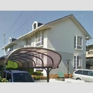 エクセルグリーンの画像