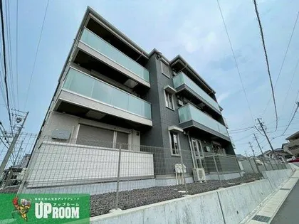 ラティペースの画像