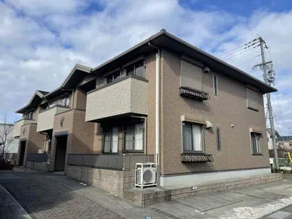 ラティルスの画像