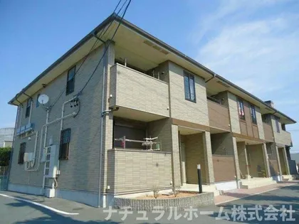 ガーデンステレイタの画像