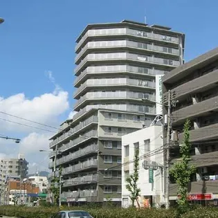 ドマーニ住吉【5階】の外観