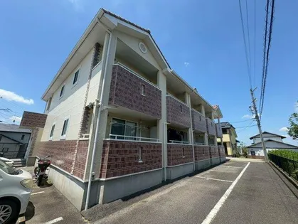 グッドディズの画像