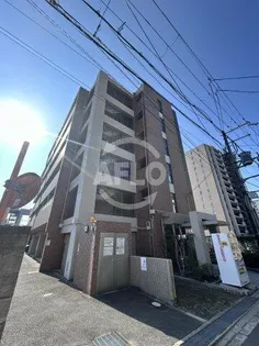 アレルヤの画像