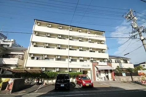 ステイツM【2D号室】の外観