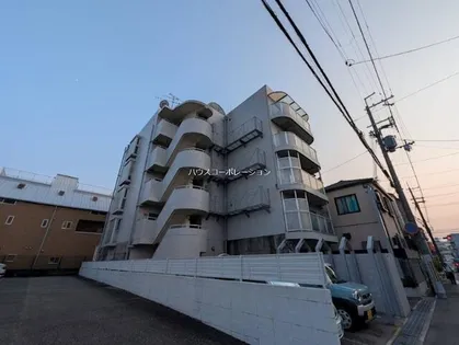 シロハイヌ武庫之荘の画像