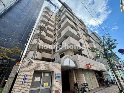 セントポーリア アビコの画像