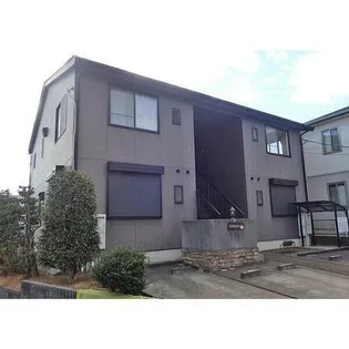 エーデルワイスの画像