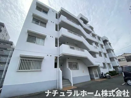 センチュリーコートの画像