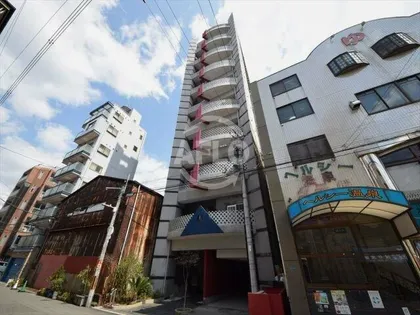 ZEUS月光の画像