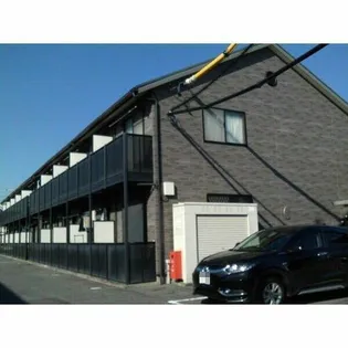 アンプルールリーブルペアーフィールドIの画像