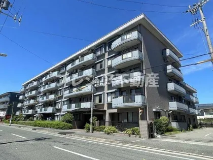 ドルチェ甲子園の画像