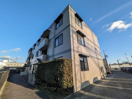 ビューラー藤木の画像