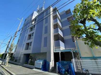 ゼハールト橘の画像