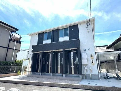 ムスカリの画像