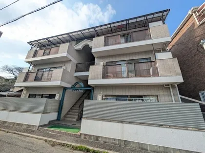 江上イエムの画像