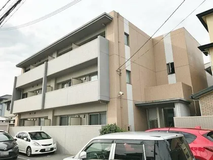 シェリールソルの画像