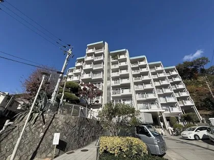 岡本エクセルの画像